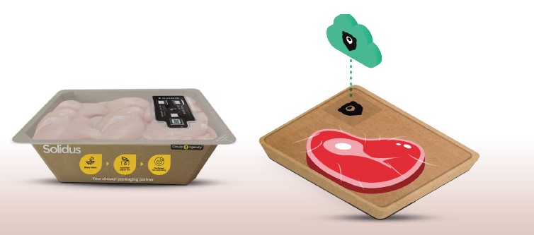 Tazeliği Ölçen Ambalajlar ile Gıda Güvenliğinde Dijital Devrim